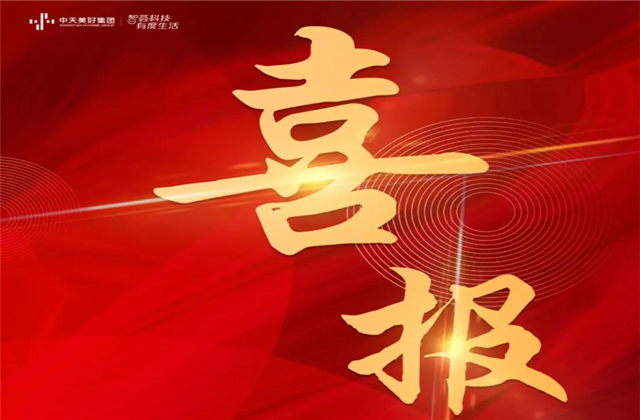 尊龙凯时美好集团蝉联“2021长三角城市群房地产公司品牌价值TOP10”